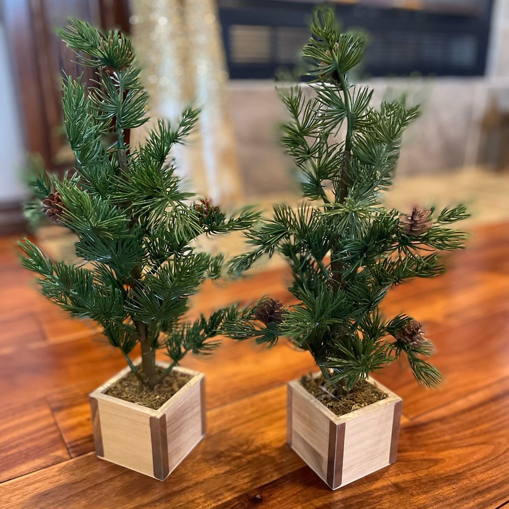 Plastic decorative trees (pair)